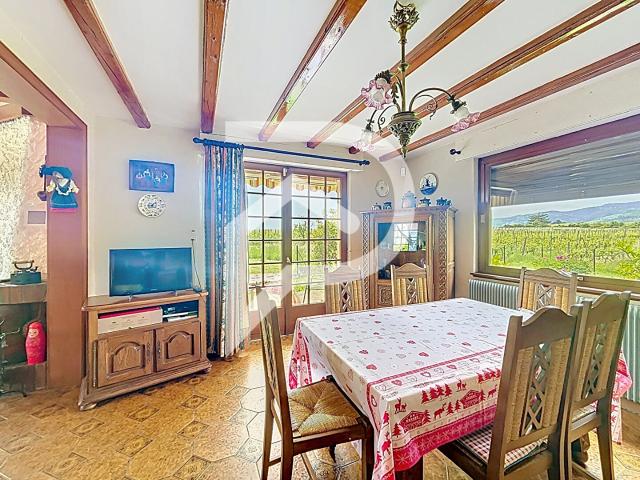 Maison vente à Colmar-Ribeauvillé, Bergheim