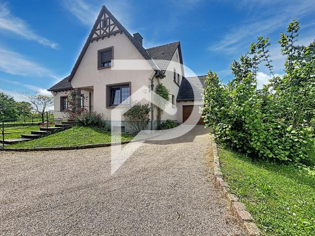 Maison vente à Colmar-Ribeauvillé, Bergheim