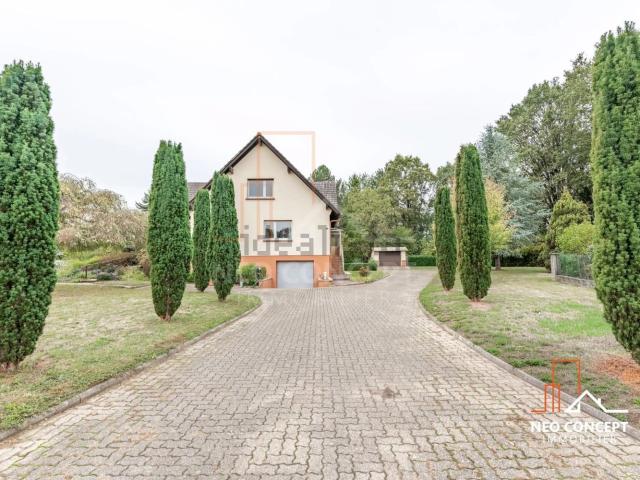 Maison vente à Betschdorf