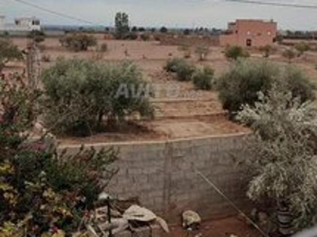 Maison vente à Ouarzazate