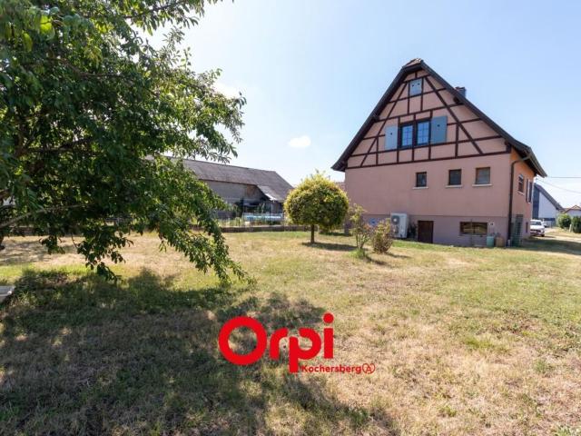 Maison vente à Bilwisheim, Collectivité européenne d'Alsace
