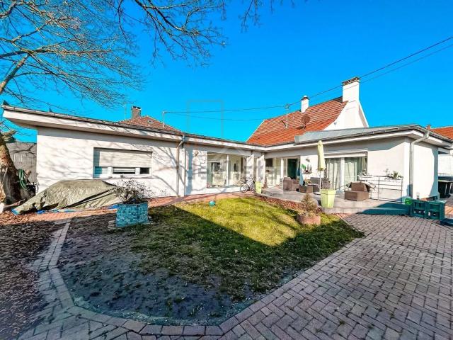 Maison vente à Bischwiller, Collectivité européenne d'Alsace