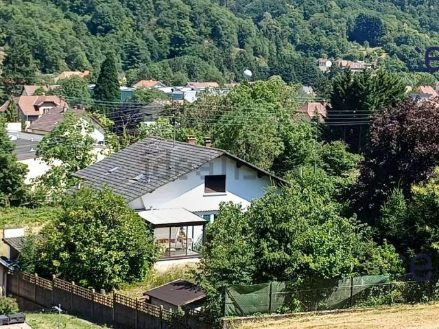 Maison vente à Thann, Collectivité européenne d'Alsace