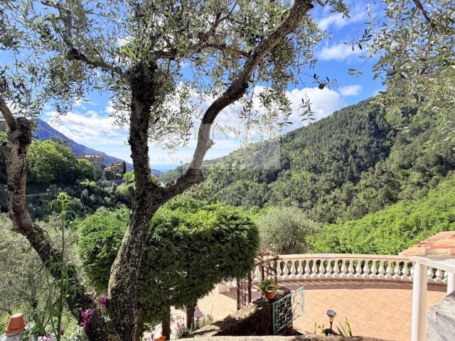 Maison vente à Castillon, Alpes-Maritimes