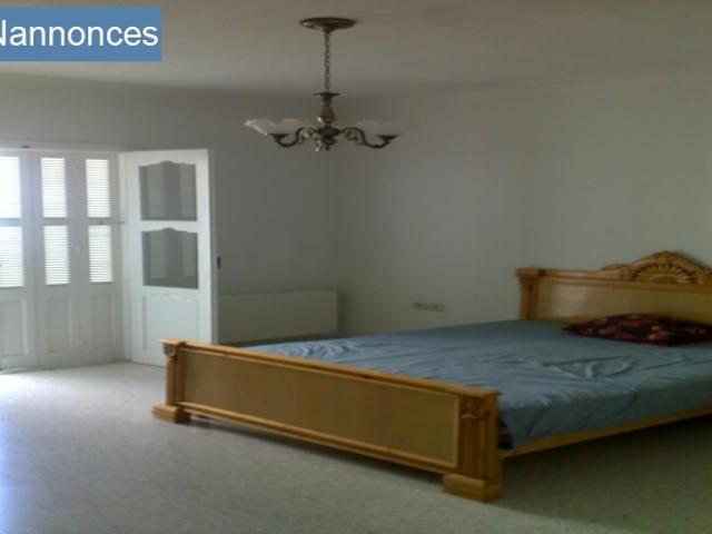 Appartement location