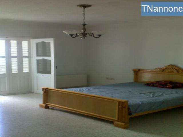 Appartement location