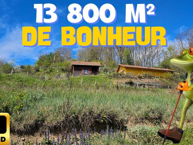 Maison vente à Grenoble, Corps