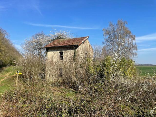 Maison vente à Les Essarts-lès-Sézanne, Marne