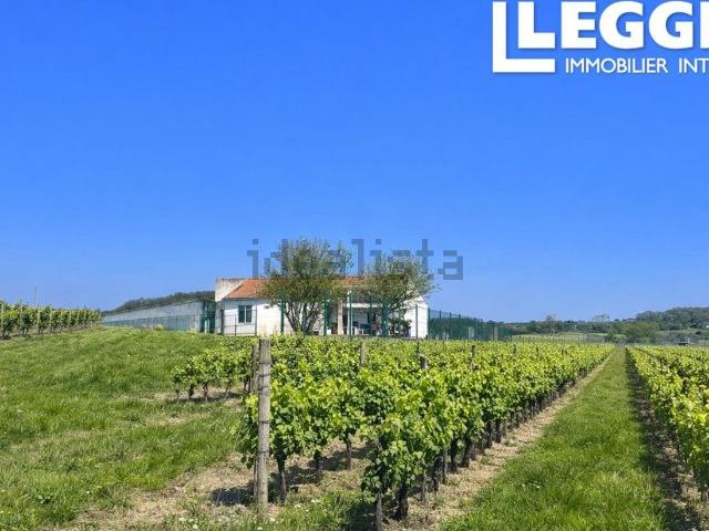 Maison vente à Le Maine Léze, Châteauneuf-sur-Charente