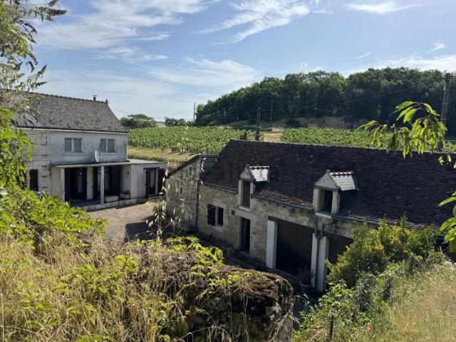 Maison vente à Coteau de Saint-Martin, Chinon
