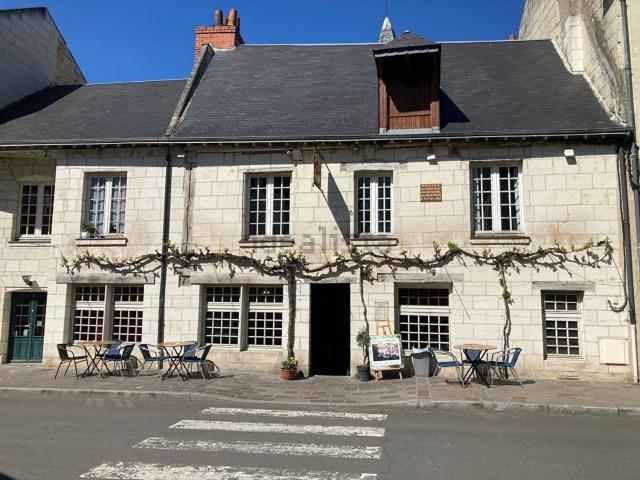 Maison vente à La Ville, Chinon
