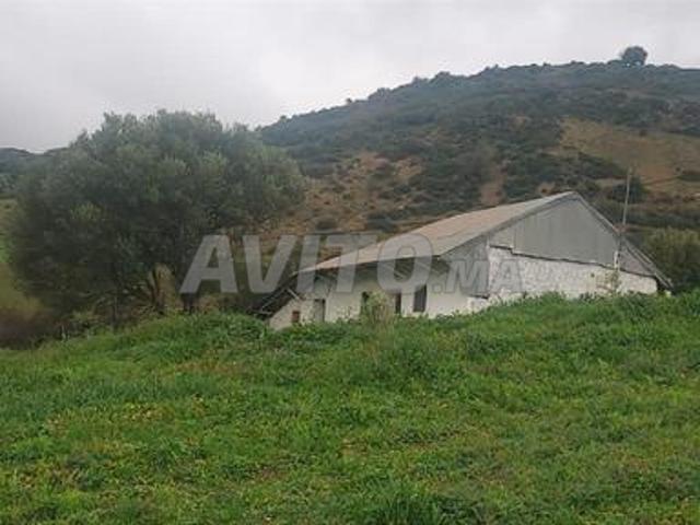 Propriété vente à Tétouan, Tanger-Tétouan