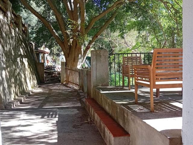 Maison vente à Céret, Montferrer