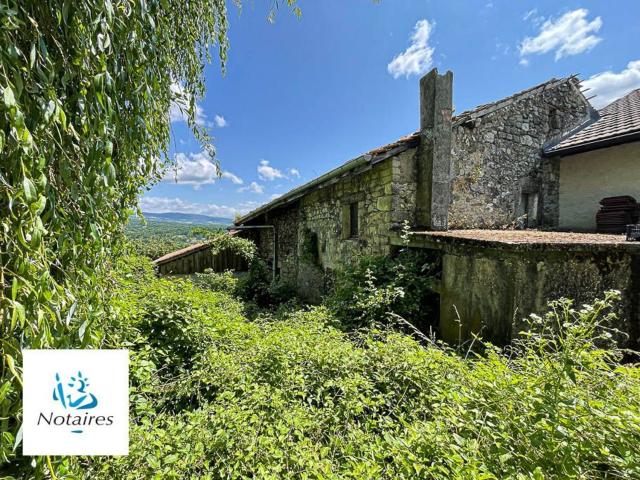 Maison vente à Contamine-Sarzin, Haute-Savoie