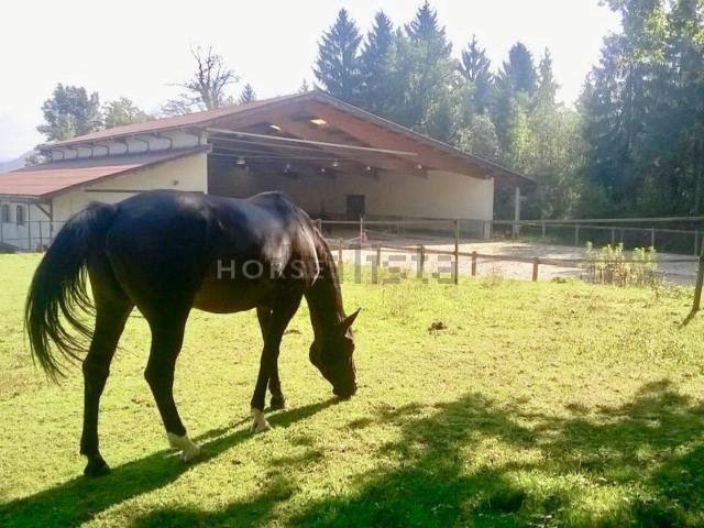 Maison vente à La Grangeat-Est, Contamine-sur-Arve