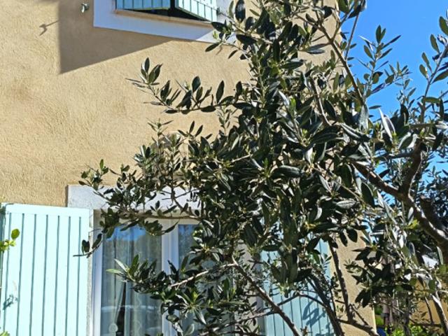 Maison vente à Cuers, Var