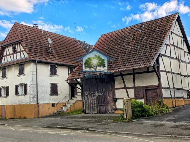 Maison vente à Dannemarie, Collectivité européenne d'Alsace