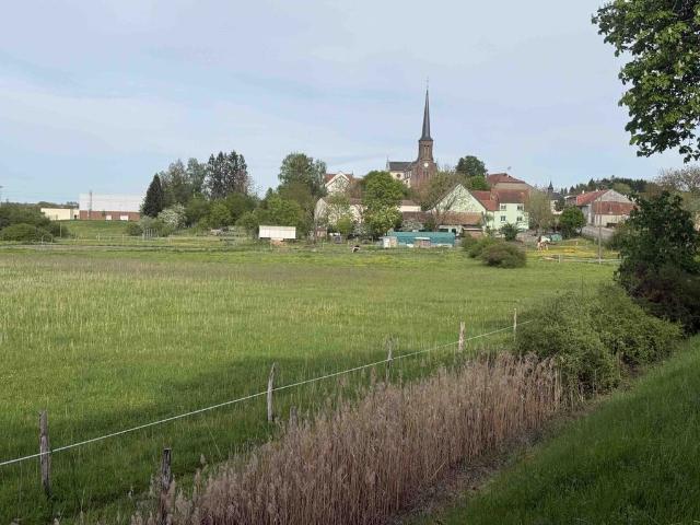 Maison vente à Sarreguemines, Holving