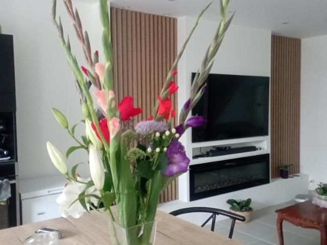 Maison location à Rennes, Bretagne