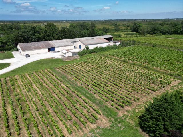 Maison vente à Bégadan, Gironde