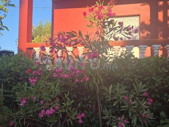 Maison vente à Kénitra