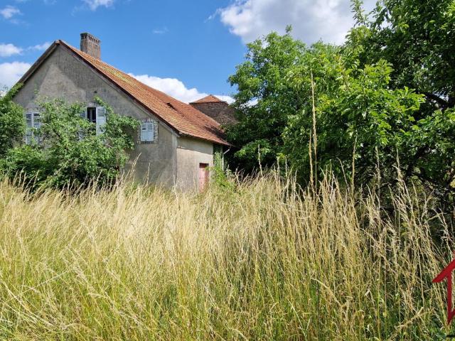 Maison vente à Vesoul, Ouge