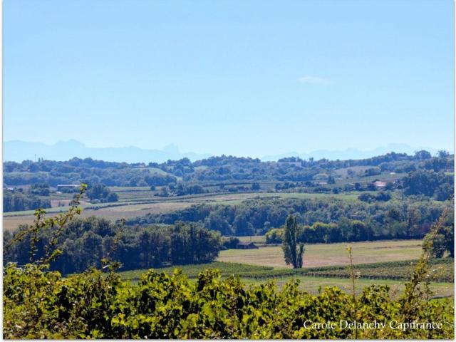 Maison vente à Mirande, Maumusson-laguian