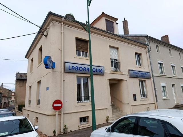 Maison vente à Sarrebourg-Château-Salins, Dieuze