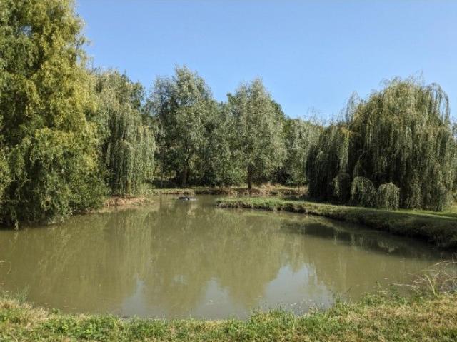 Maison location à Bergerac, Thénac