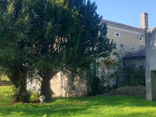 Maison vente à Cognac, Barbezieux-saint-hilaire