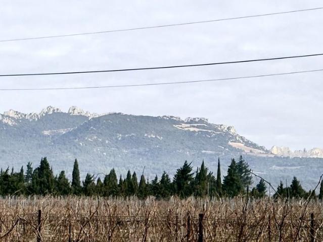 Maison vente à Carpentras, Vacqueyras