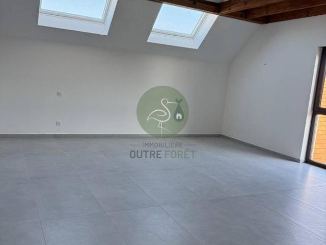 Maison vente à Wittersheim, Collectivité européenne d'Alsace
