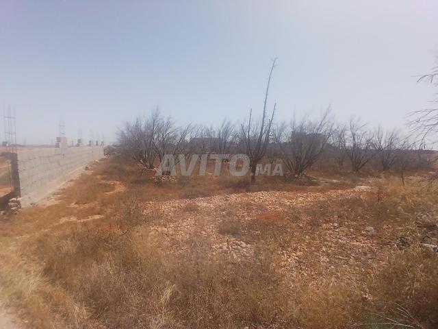 Maison vente à Tiznit, Oued ed Dahab-Lagouira
