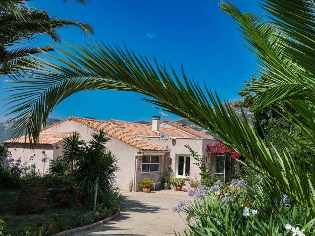 Maison vente à Calvi, Montegrosso