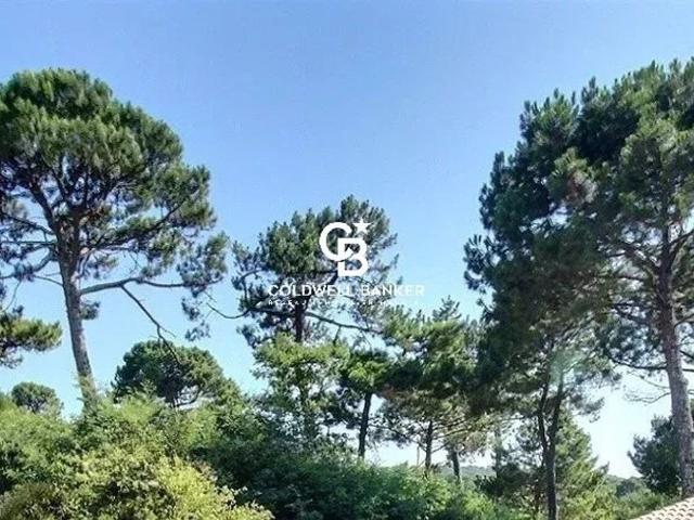 Maison vente à Arcachon, La Teste-de-buch
