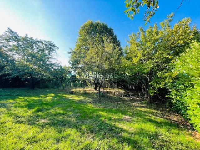 Maison vente à Rigoulas, Balma