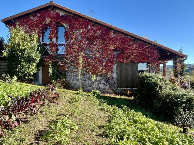 Maison vente à Roanne, Saint-victor-sur-rhins
