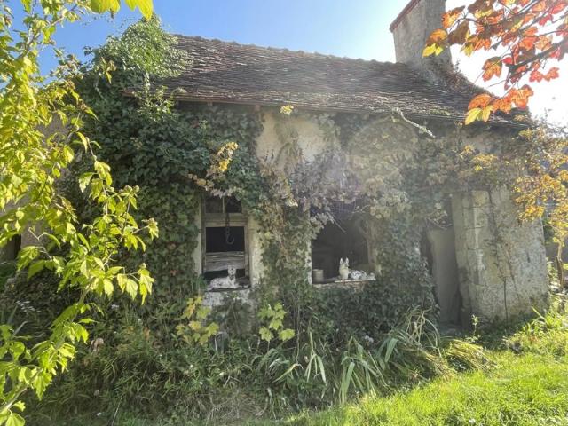 Appartement vente à Chinon, Savigné-sur-lathan
