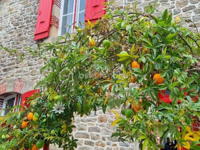 Maison vente à Vannes, Bretagne