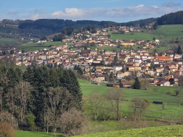 Maison vente à Roanne, Sevelinges