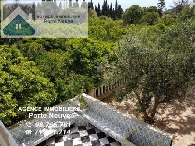 Terrain vente à Bizerte Nord