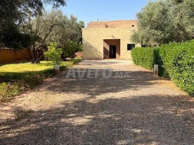 Maison location à Ouarzazate