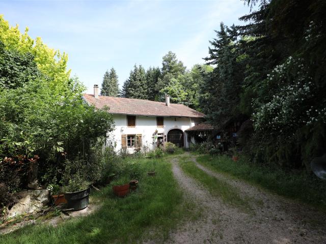 Maison vente à Saint-Dié-des-Vosges, La Croix-aux-mines