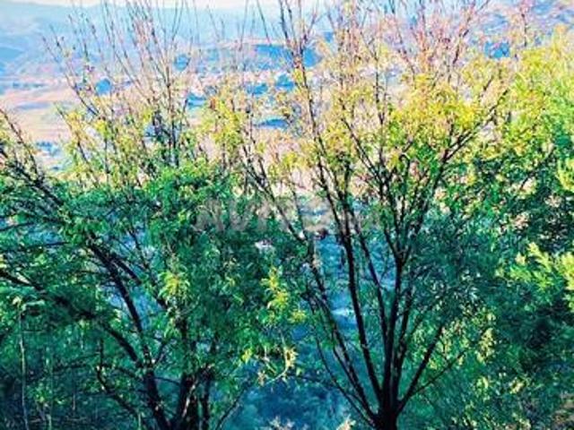 Propriété vente à Taounate