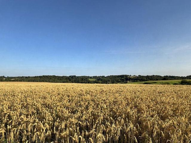 Maison vente à Nontron, Nouvelle-Aquitaine