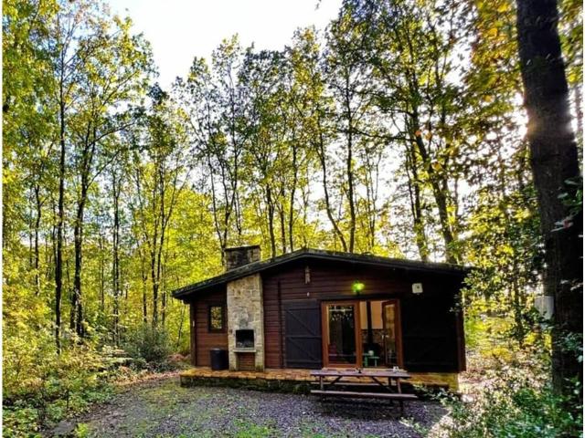 Maison vente à Olloy-sur-Viroin, Namur