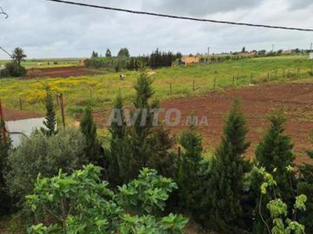Maison vente à Oulad Abbou, Gharb-Chrarda-Beni Hssen