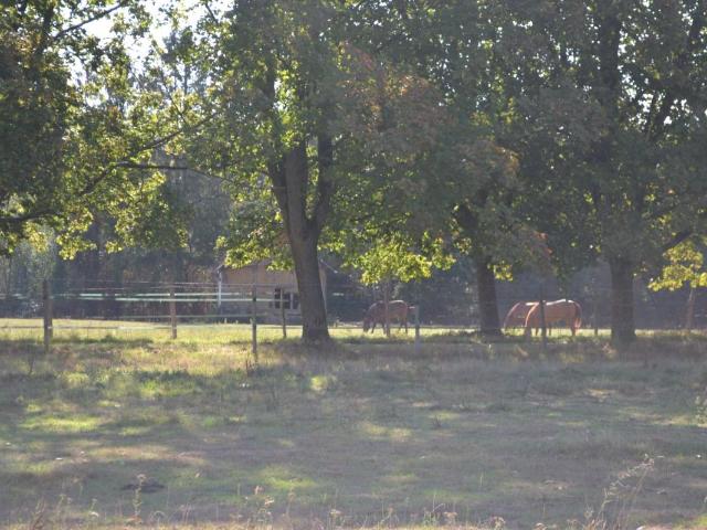Villa vente à Bernay, Montreuil-l'argillé