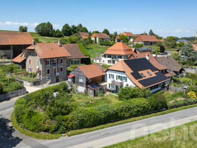 Immobilie kaufen in Waadt