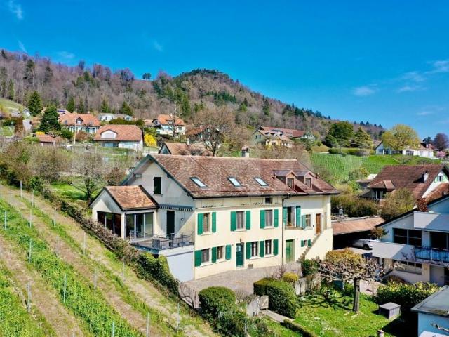 Reihenfamilienhaus kaufen in Bougy-Villars, Waadt
